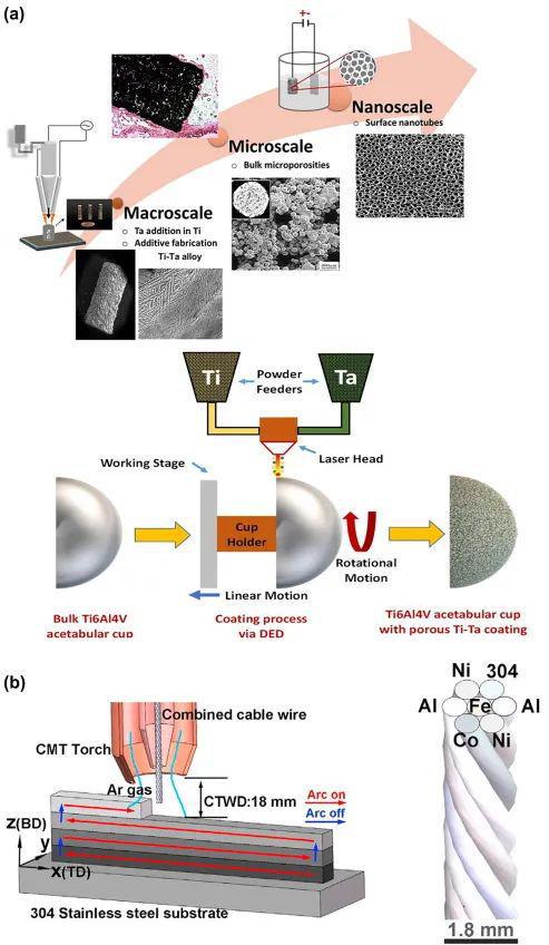 增材制造在合金設(shè)計(jì)及鋼結(jié)構(gòu)制造中的優(yōu)勢(shì)、挑戰(zhàn)、應(yīng)用與前景